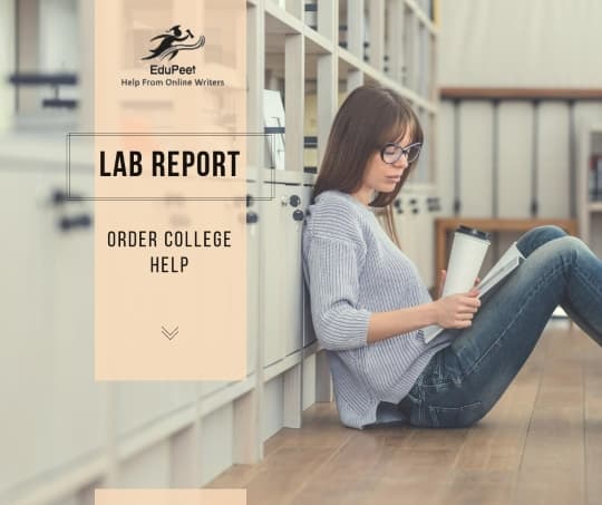 buy lab report